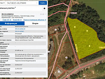 «Верю в чудо» дали добро на вырубку рощи под детский хоспис