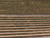 Падение ученицы обойдётся гимназии №1 в 20 тысяч рублей