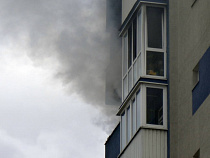 Кролик задохнулся при пожаре в Калининграде (видео)