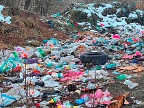 Вместо рекультивированной свалки у Черняховска сделали новую - нелегально