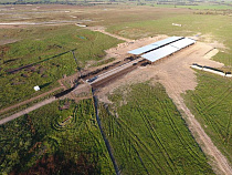 «Калининградская мясная компания» инвестировала 65 млн рублей в модернизацию ферм в 2016 году