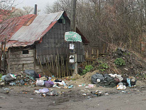 На тушение брошенного мусора МЧС бросило наряды четырёх пожарных частей