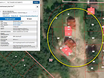 Полтарабатько срубит 47 деревьев у сосновой рощи в Косме