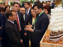 Алиханов рассказал, чем похвастался в столице 