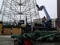 В Калининграде разобрали новогоднюю ёлку