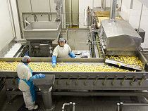 «Мираторг Запад» начал поставки мясных полуфабрикатов в Монголию для сети Burger King