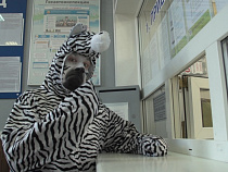 Зебра зарегистрировала машину в Калининграде*