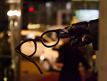 150 калининградских ветеранов посмотрят кино бесплатно