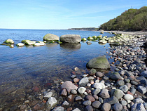 Суд арестовал убийцу 56-летней женщины в Приморье