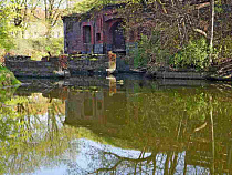 Артур Крупин: укрепления Кёнигсберга нужно открыть для туристов