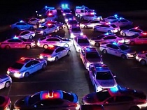 В Калининграде инспекторы ГИБДД 3 часа выстраивали автоёлку 