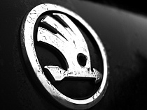 Калининградский автомеханик угнал «Шкоду» и врезался на ней в столб