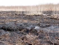 В Калининградской области горят дома