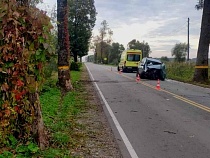 ДТП под Неманом с 3 пострадавшими спровоцировала пугливая пассажирка 