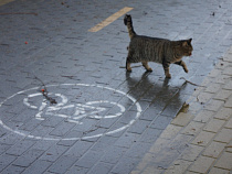 National Geographic назвал самый популярный регион экологического отдыха