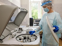 В Калининградской области за сутки выявили менее 180 случаев коронавируса