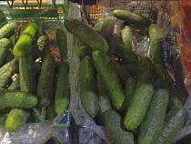 В Калининградской области с огурцами происходит страшное