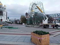 В Калининграде начат монтаж новогодней ёлки (видео)