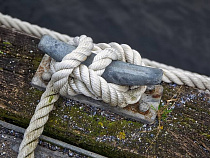 В Светлом заложат новое судно для калининградских рыбодобытчиков