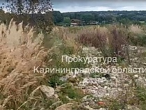 Янтарное месторождение под Калининградом постигло страшное
