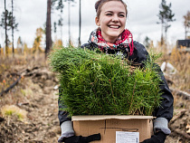 Калининградцам предлагают посчитать свои выбросы CO₂ 