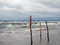 В Калининградской области ветер усилится до 17 м/с