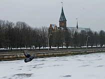 Следственное управление СКР: родители, не допускайте детей к воде без надзора 