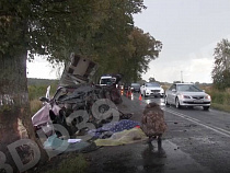 Стали известны ужасные подробности кошмарного ДТП под Янтарным (видео)
