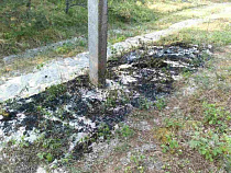 Возгорание на Куршской косе произошло из-за китайского фонарика