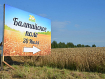 Итальянцам дали ещё 634 гектара под растениеводство в Калининградской области