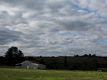 Житель Озерска оштрафован на 1 тысячу рублей за складирование навоза на своем участке