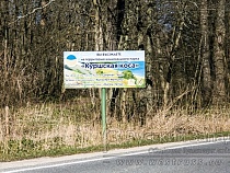 Сразу два уголка Калининградской области попали в список российских аналогов мировых достопримечательностей