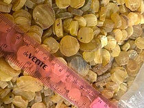 Из Балтийска янтарь вывозили мешками