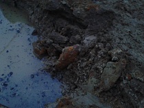 На востоке Калининградской области обнаружили 6 миномётных снарядов 