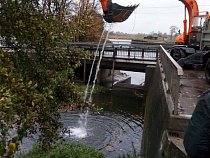 В Советске решили проблему с очисткой шлюза на городском озере