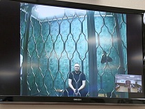 Адвокат Мельникова возмутился допуском в суд журналистов с видеосъёмкой