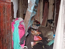 Расселённый дом в Калининграде стал потрясающим бомжатником