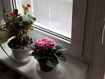 В Калининградской области начали выдавать ипотечные кредиты по сниженным ставкам