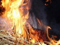 В Калининградской области сгорели двадцать кубометров дров и шесть тонн сена