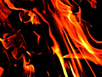 Наркополицейские уничтожили почти 200 тысяч условных доз наркотиков