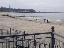 Гребенщиков споёт в Пионерском