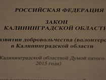 В Калининграде законодательно закрепят волонтерскую деятельность 