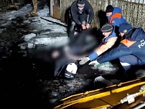 Под Калининградом утонул водитель экскаватора 