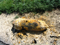 Пенсионерка под Калининградом хранила снаряд от гаубицы в сарае