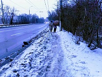 Прокуратура назвала телефон горячей линии по плохой уборке снега