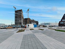 На острове Октябрьском в Калининграде вырубят только посаженные деревья