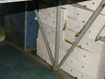  Калининградец спрятал в пассажирском автобусе 89 коробок с субпродуктами из Польши