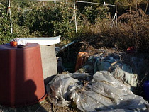 Арендатор участка под Калининградом устроила свалку на площади 2 953 кв. м