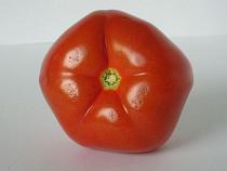 Более 22 тонн зараженных томатов прибыло в Калининград из Македонии