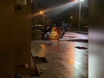 Воровке плитки в Калининграде пригрозили «Антоном Андреевичем»